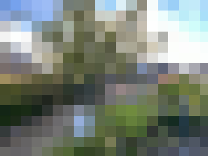 Image 33