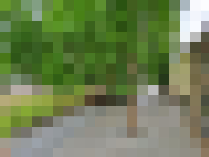 Image 18