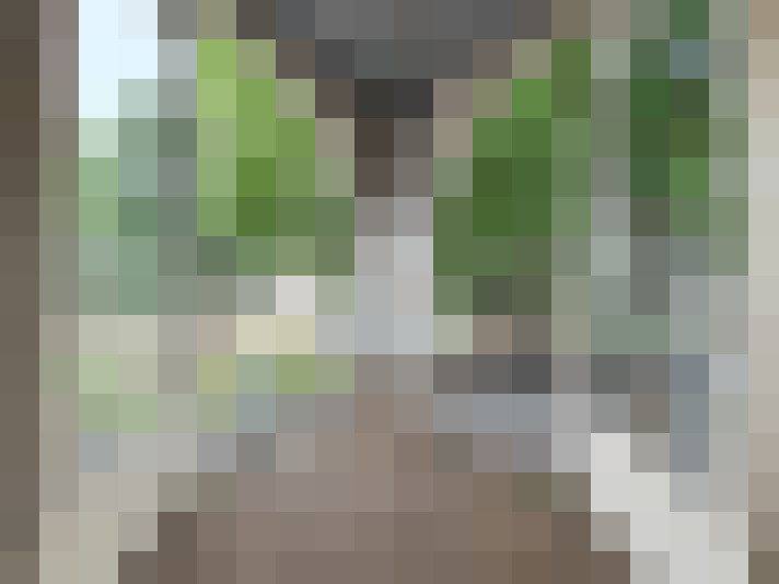 Image 16