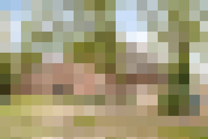 Image 14