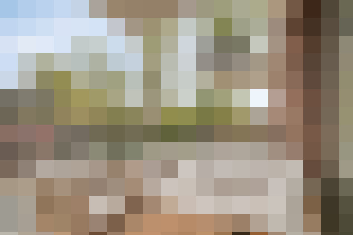 Image 13