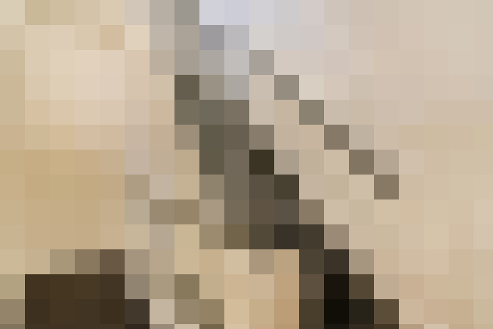 Image 20