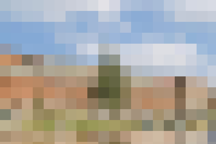 Image 30