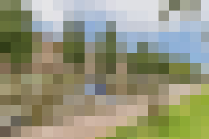 Image 29