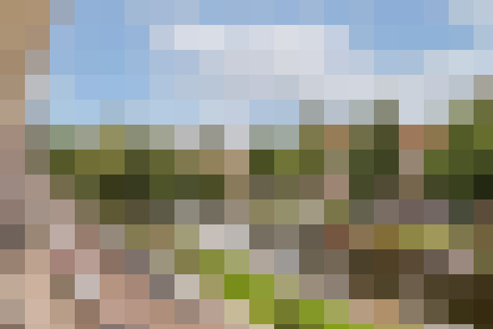 Image 25