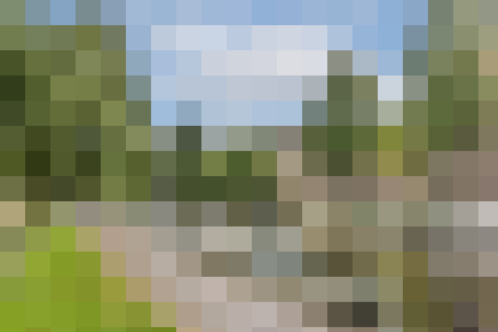 Image 28