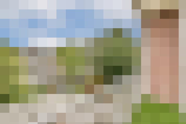 Image 14