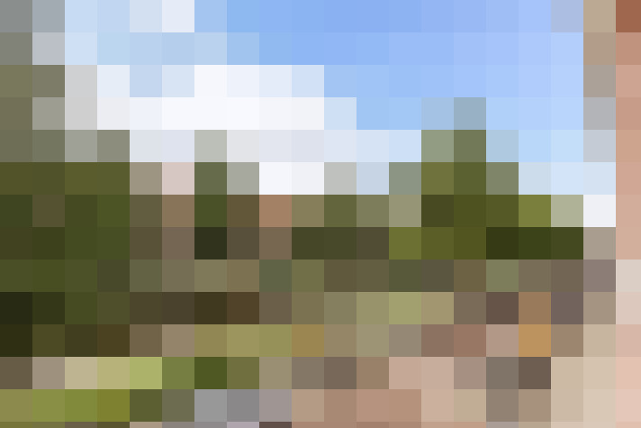 Image 26