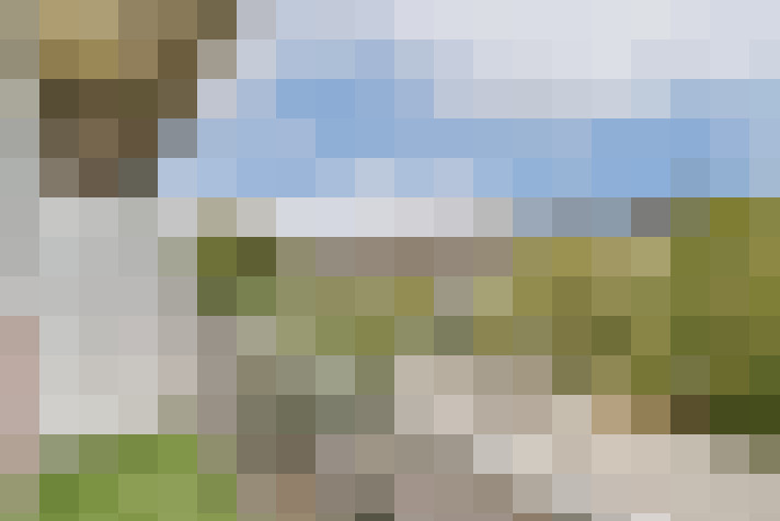 Image 13
