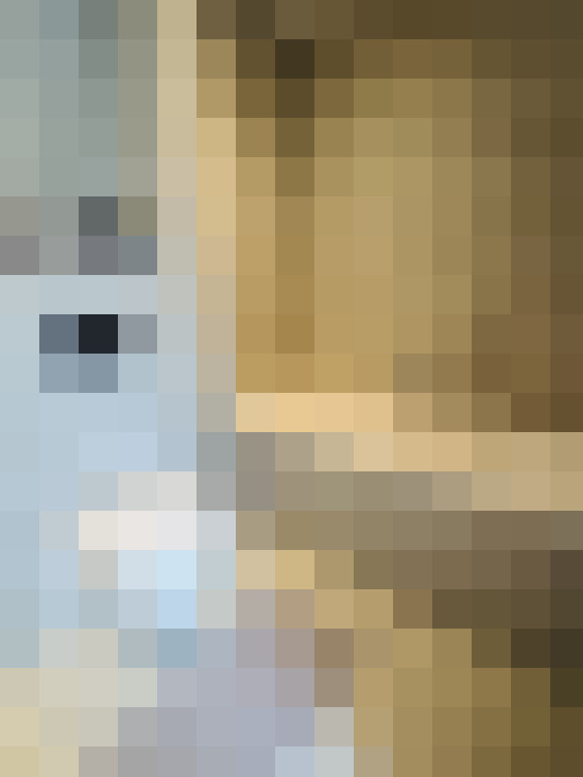 Image 25