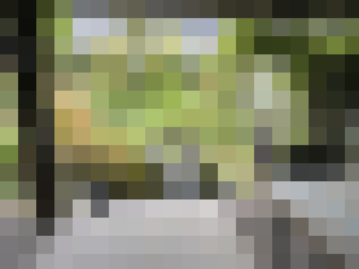Image 20