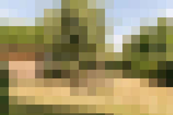 Image 17