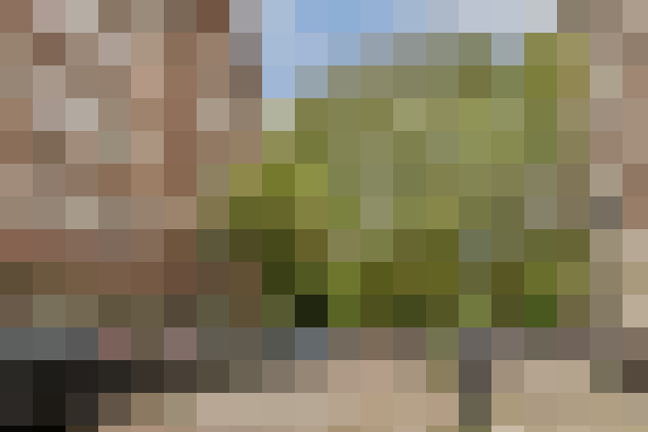 Image 17
