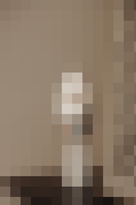 Image 29