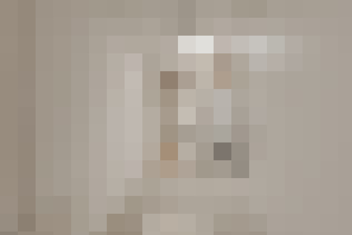 Image 50