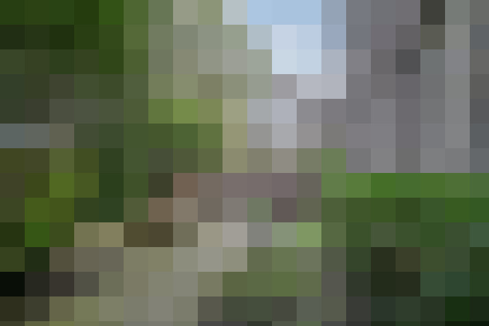 Image 20