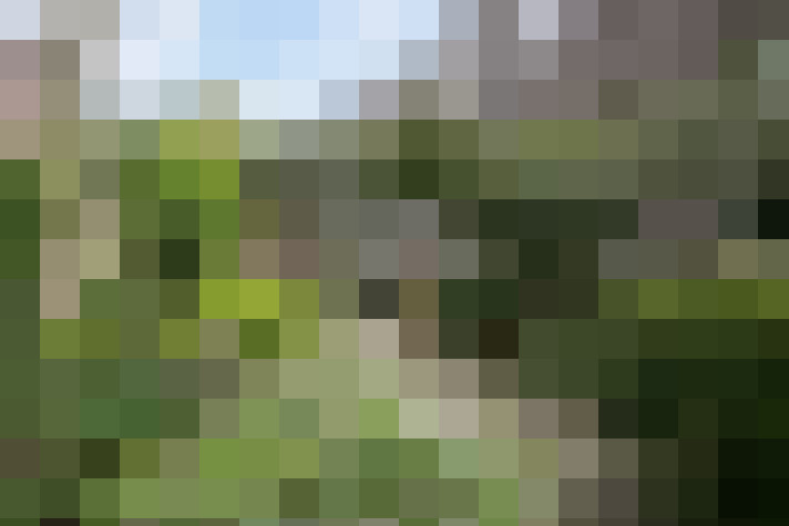 Image 18