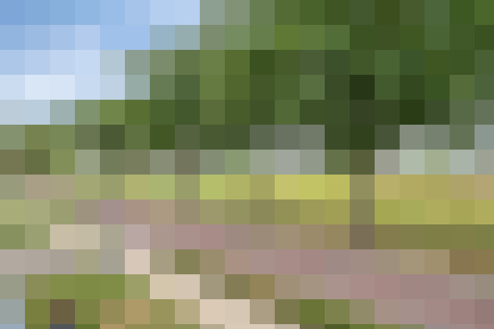 Image 95