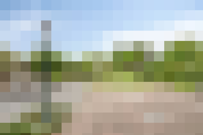 Image 97