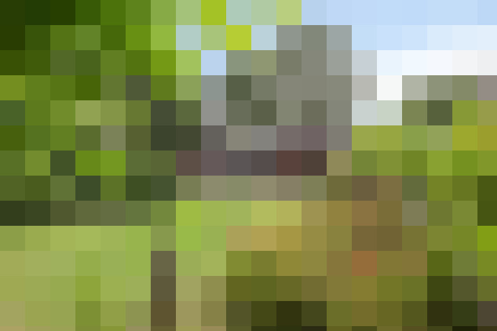 Image 77