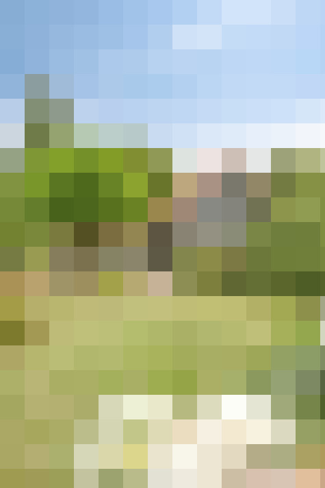 Image 58