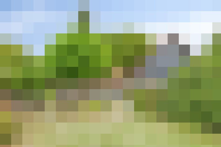Image 73