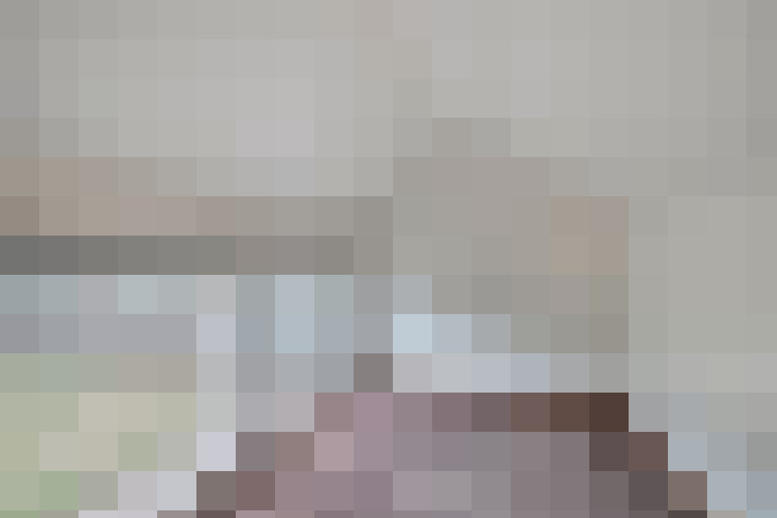 Image 100