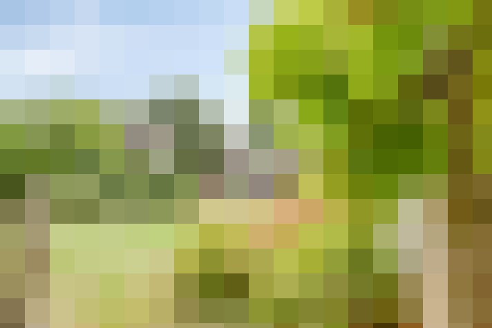 Image 72