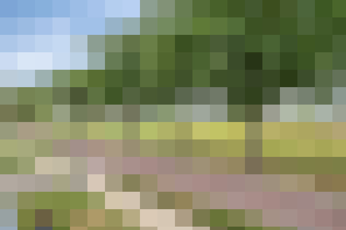 Image 104