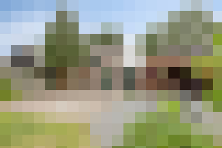 Image 65