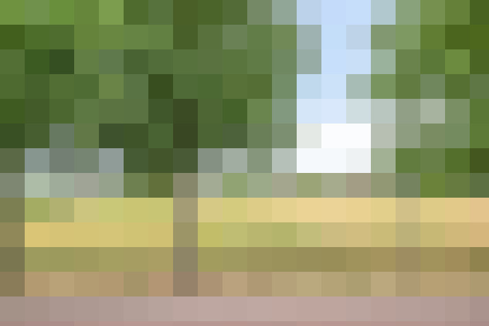 Image 93