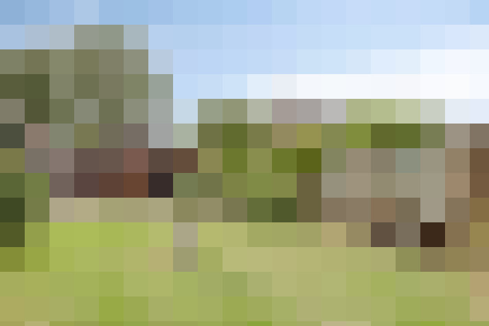 Image 69