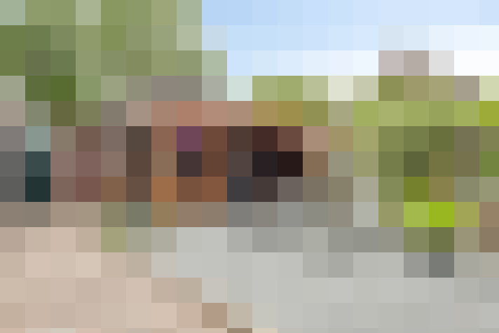 Image 59
