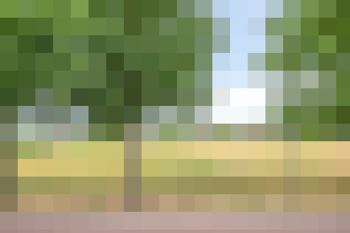 Image 102
