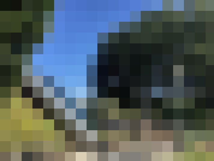 Image 29