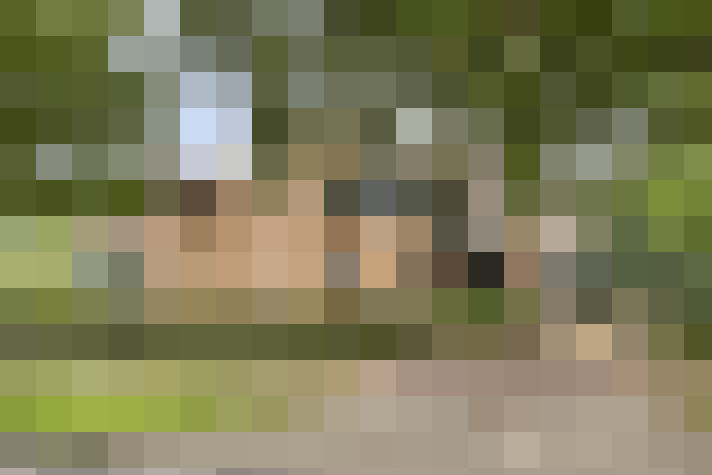 Image 40