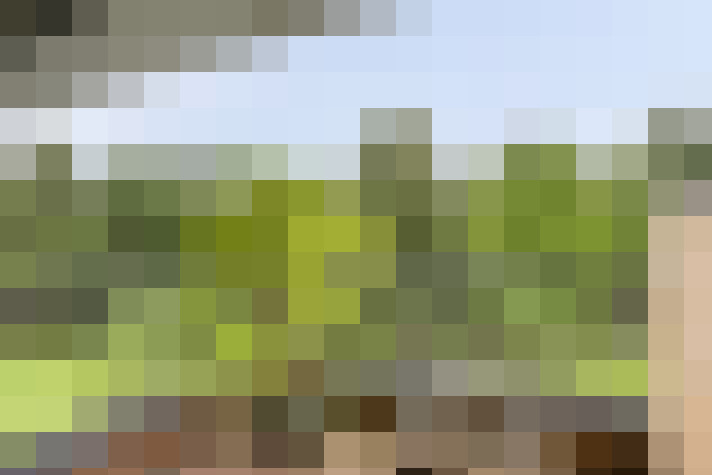 Image 35