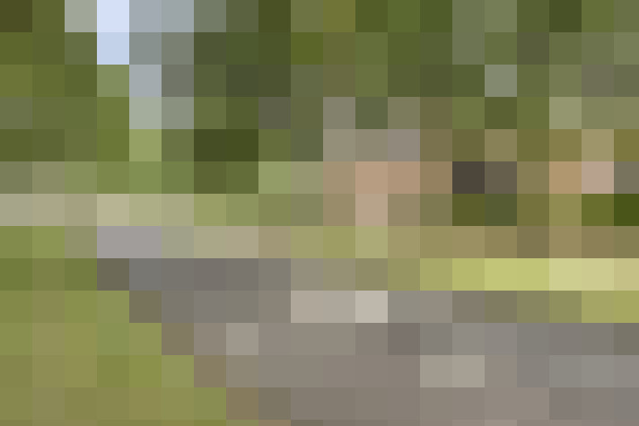 Image 39