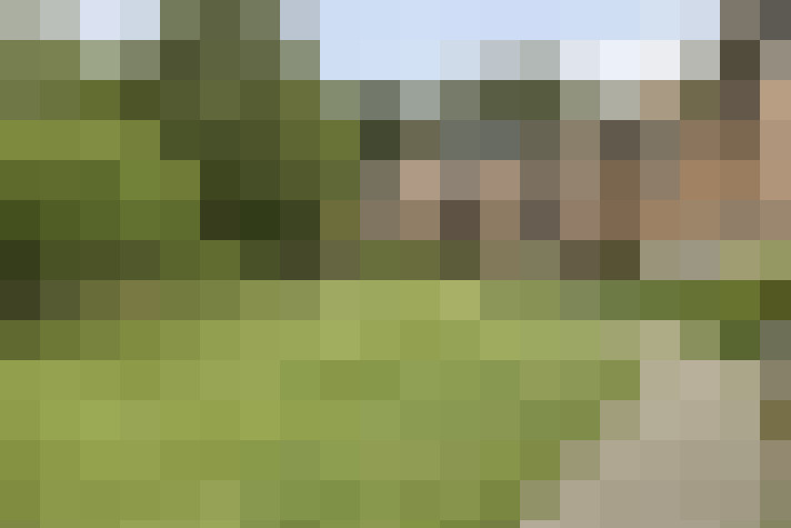 Image 38