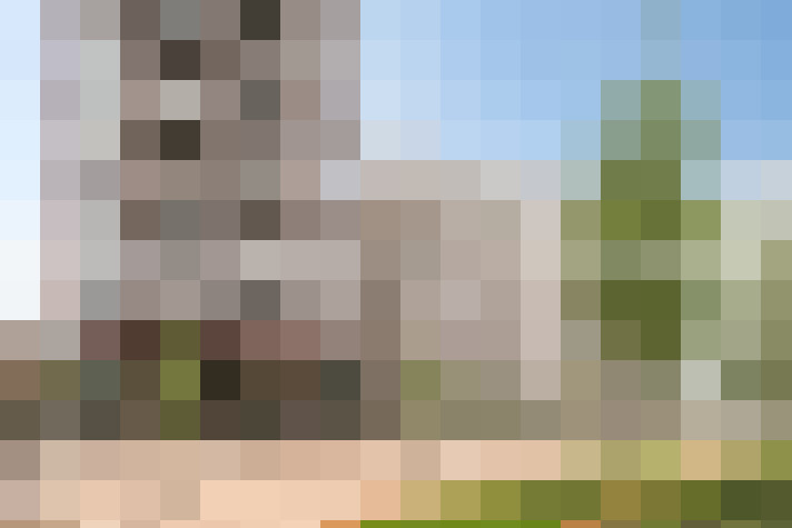 Image 13