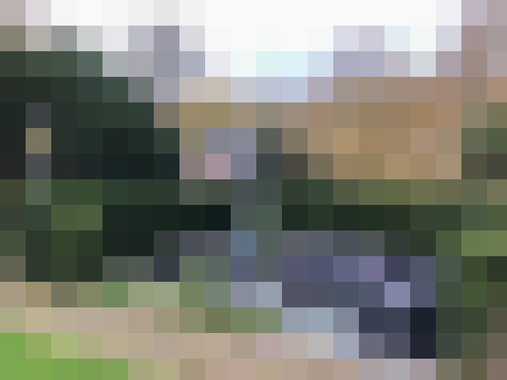 Image 23