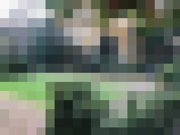 Image 24