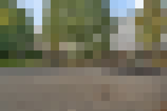 Image 18