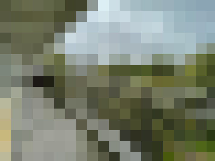 Image 18