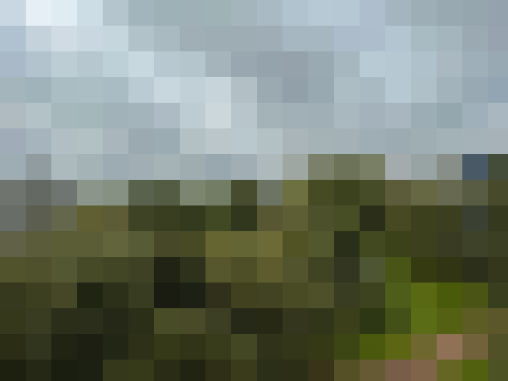 Image 20