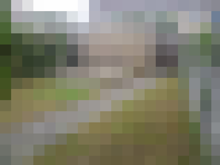 Image 27