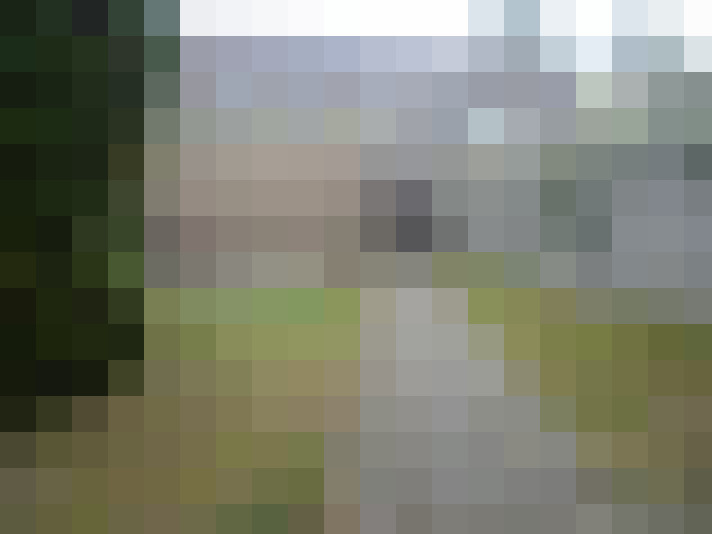 Image 26