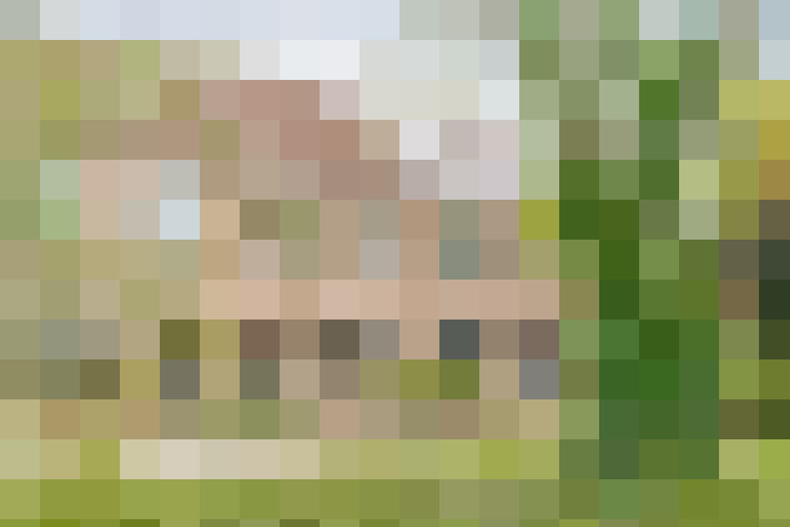 Image 33