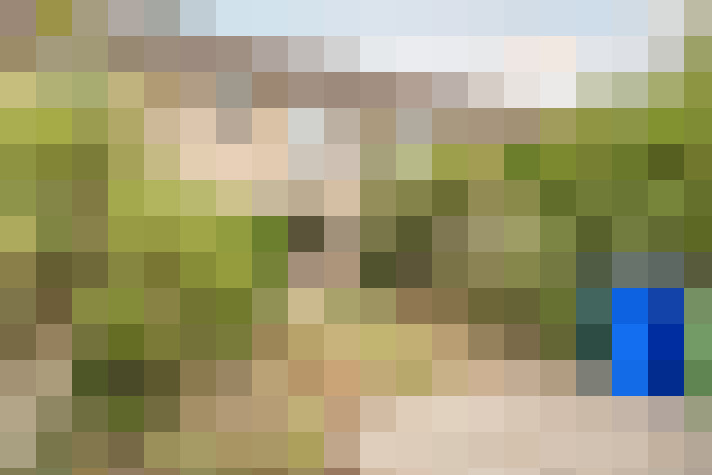 Image 29