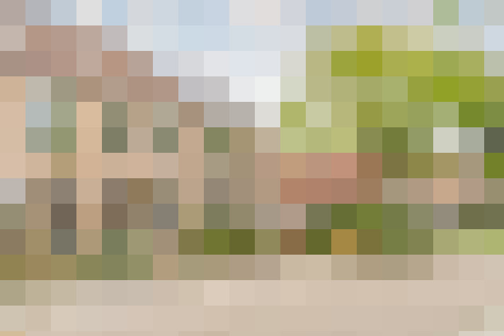 Image 35
